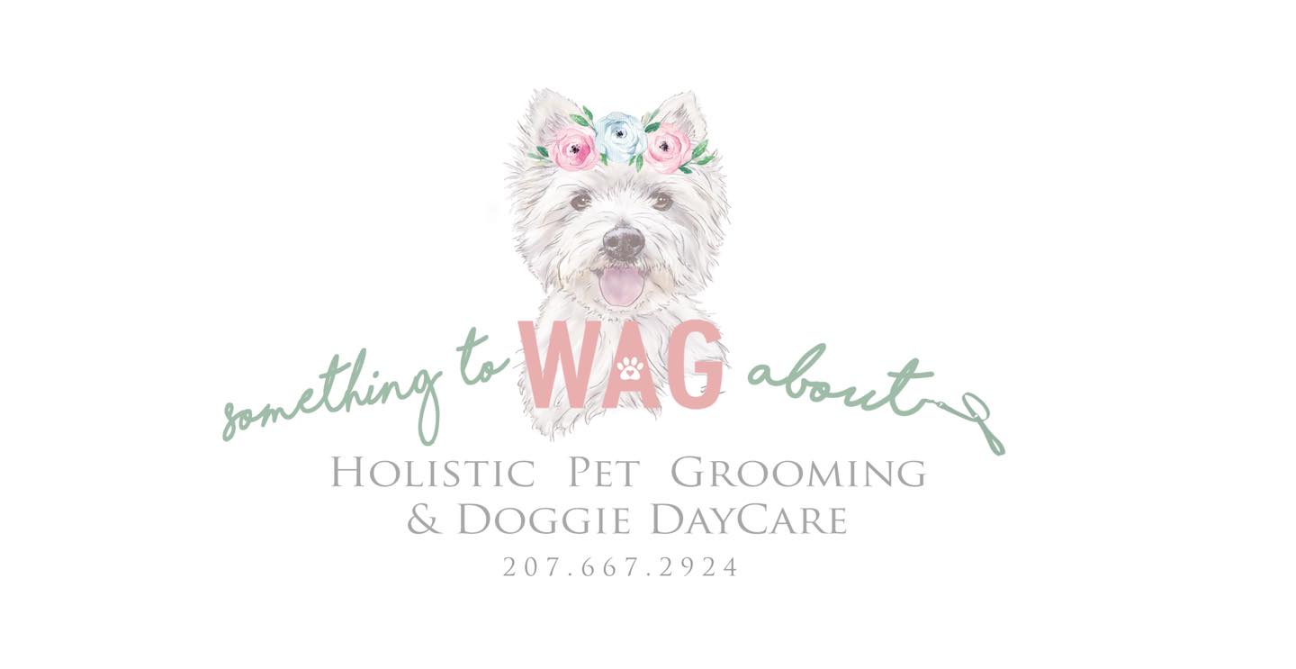 holistic dog grooming near me